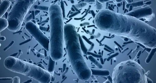 Hastalıklar Hakkında 25 İlginç Bilgi