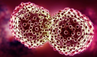 Farklı Kanser Türlerini ve Meme Kanserini Anlamak: Belirtiler, Teşhis ve Tedavi Seçenekleri