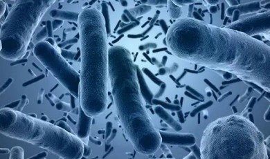 Hastalıklar Hakkında 25 İlginç Bilgi